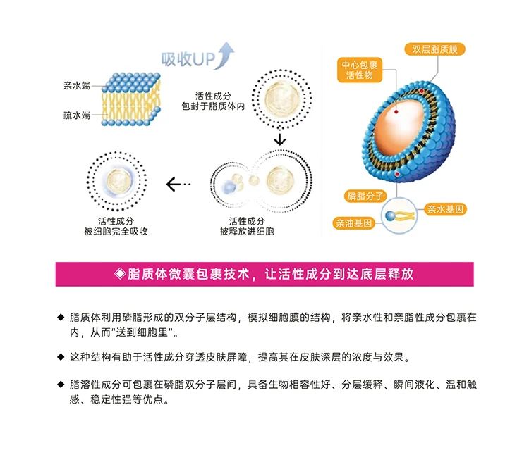 六和宝典2023图库