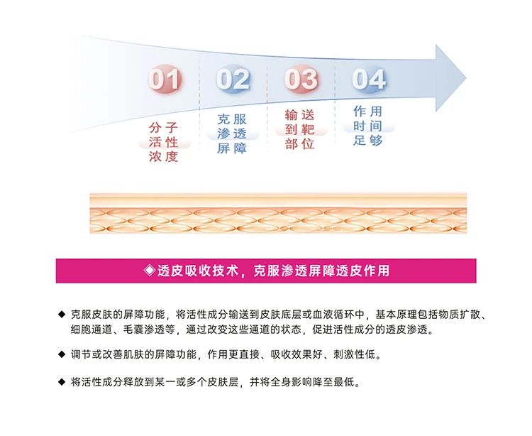 六和宝典2023图库