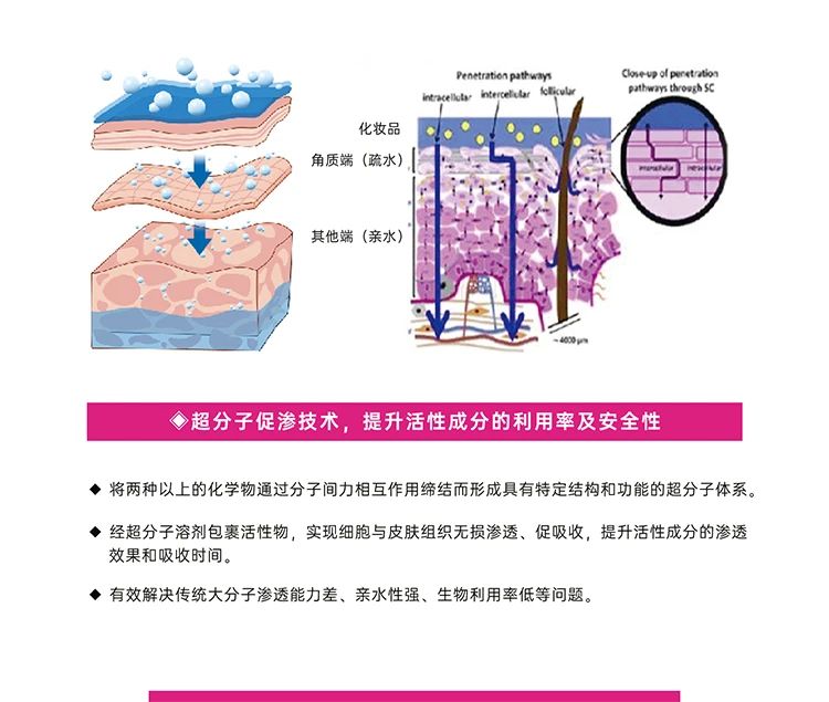 六和宝典2023图库