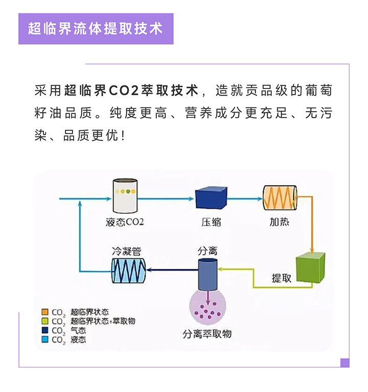 六和宝典2023图库